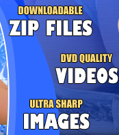 Downloadable Zip Files - DVD Quality Videos - Ultra Sharp Images