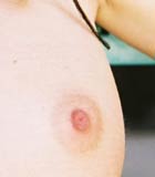 Alexa Model nipple