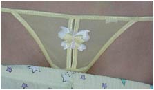 Dirty Aly sheer panties